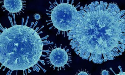 Mengenal Gejala dan Penyebaran Norovirus Yang Menyerang China
